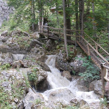 Apartments Am Kirchkogel "Laendliche Entspannung Im Herzen Der Steiermark" Pernegg an der Mur Exteriör bild