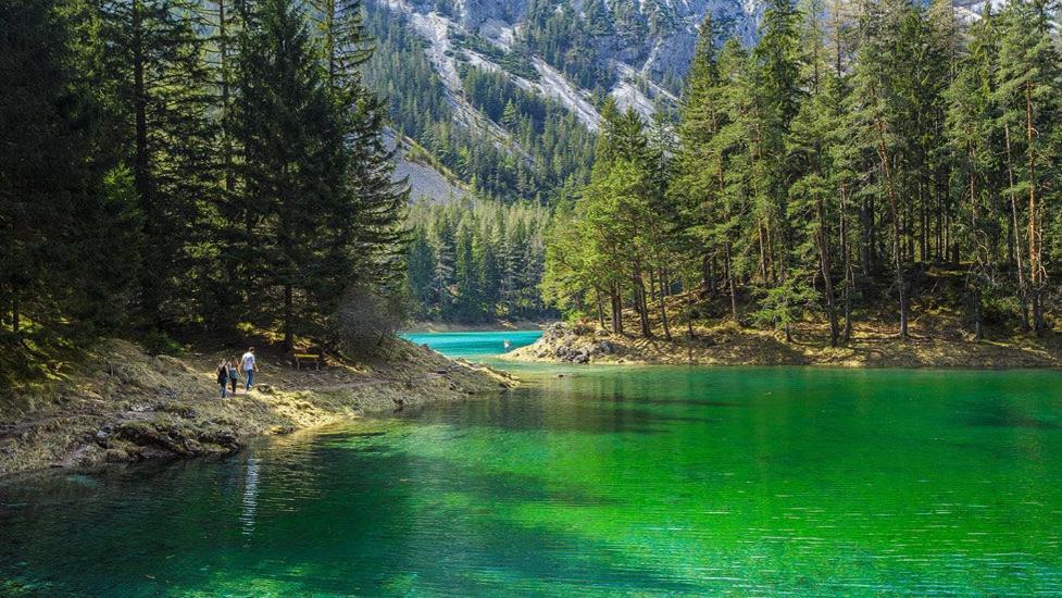 Apartments Am Kirchkogel "Laendliche Entspannung Im Herzen Der Steiermark" Pernegg an der Mur Rum bild