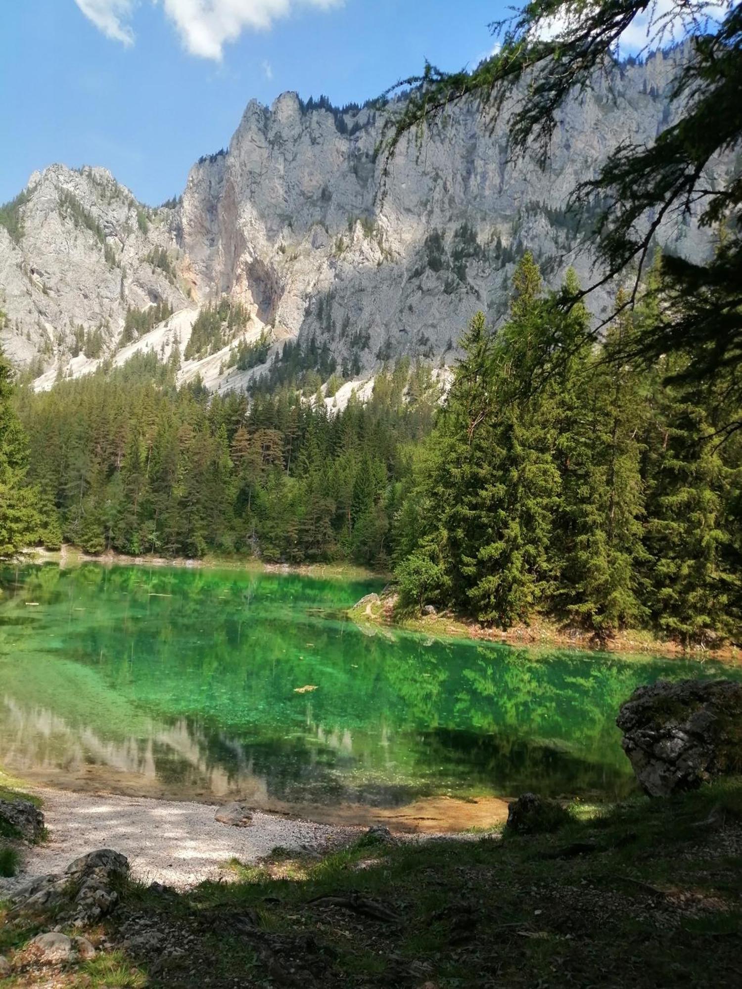 Apartments Am Kirchkogel "Laendliche Entspannung Im Herzen Der Steiermark" Pernegg an der Mur Rum bild